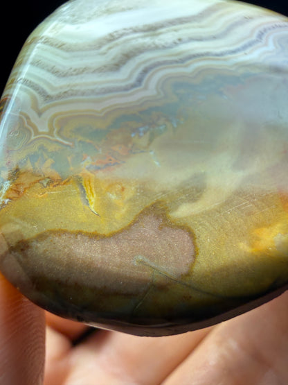 Agate- Fairburn, Custer County, South Dakota, USA