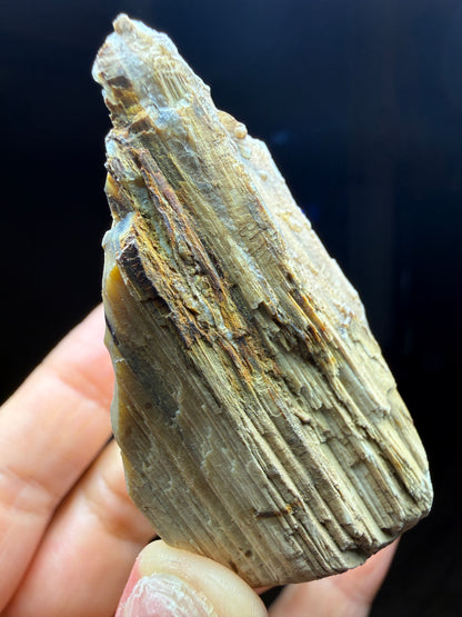 Opalized Wood- Texas