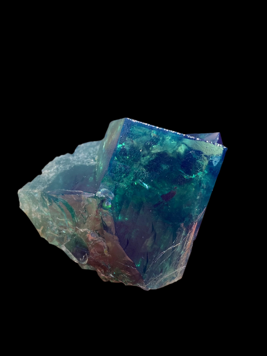 A hand displays a vibrant, transparent crystal from The Crystalary's Fluorite collection, sourced from the Bella Pocket in the Diana Maria Mine, Frosterley, Weardale, Co. Durham, England. Its captivating shades of blue, emerald-green fluorite, and purple stand out against an outdoor background with blurred buildings and trees.