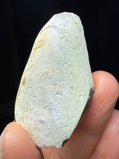 Flint in Chalk Matrix- White Cliffs of Dover, Kent, England