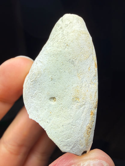 Flint in Chalk Matrix- White Cliffs of Dover, Kent, England