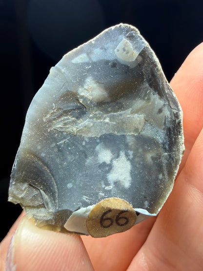 Flint in Chalk Matrix- White Cliffs of Dover, Kent, England