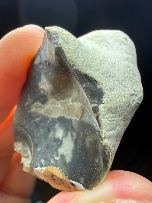 Flint in Chalk Matrix- White Cliffs of Dover, Kent, England
