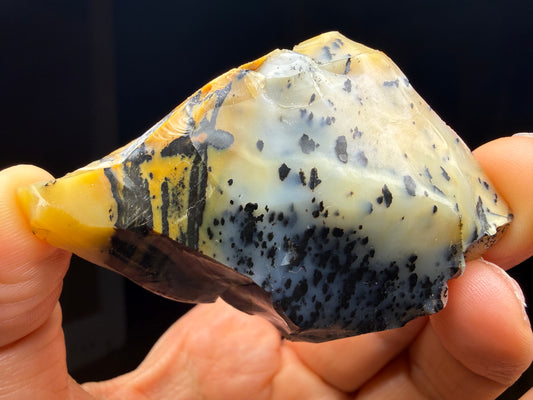 Opal (Common)- Virgin Valley, Humboldt County, Nevada, USA