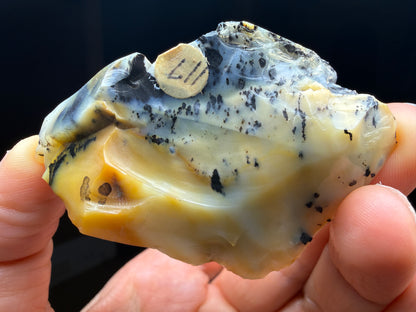 Opal (Common)- Virgin Valley, Humboldt County, Nevada, USA