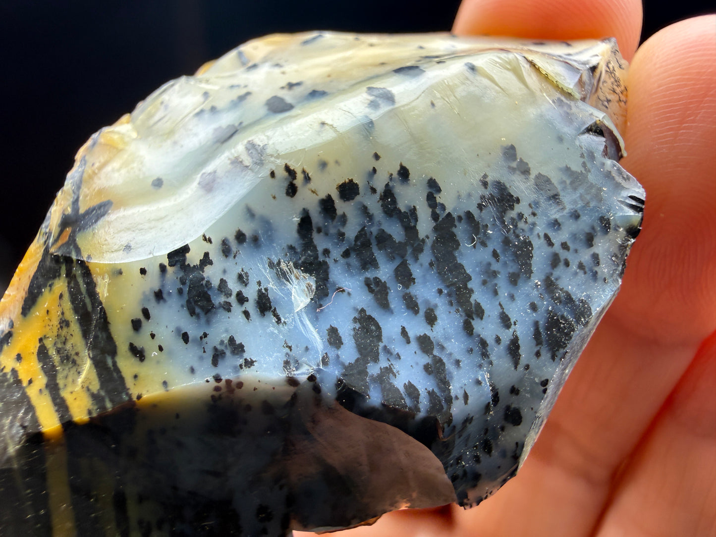 Opal (Common)- Virgin Valley, Humboldt County, Nevada, USA
