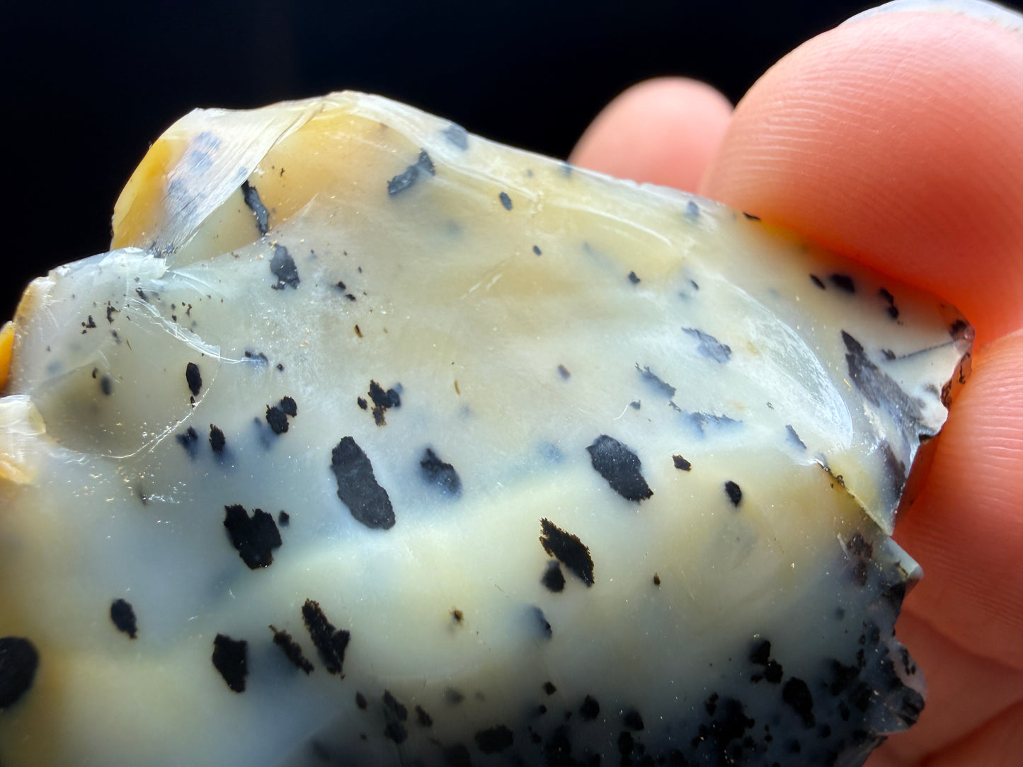 Opal (Common)- Virgin Valley, Humboldt County, Nevada, USA