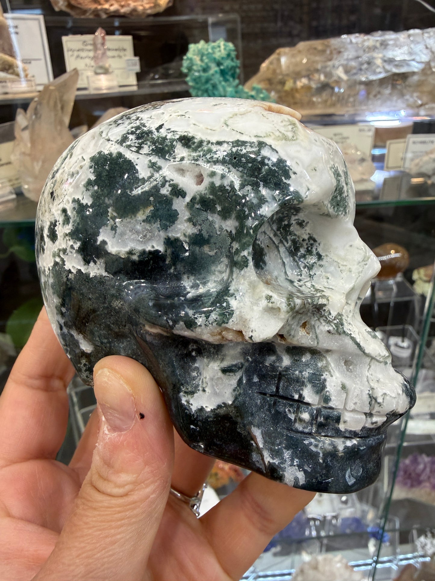 Moss Agate Skull- Large 1.6 pounds