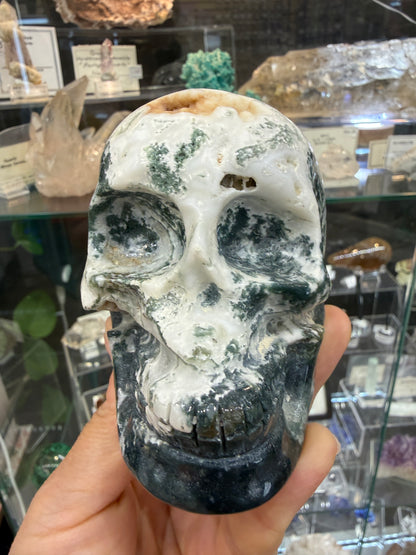 Moss Agate Skull- Large 1.6 pounds