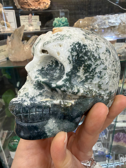 Moss Agate Skull- Large 1.6 pounds
