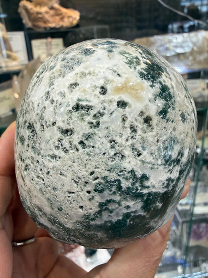 Moss Agate Skull- Large 1.6 pounds