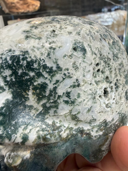 Moss Agate Skull- Large 1.6 pounds