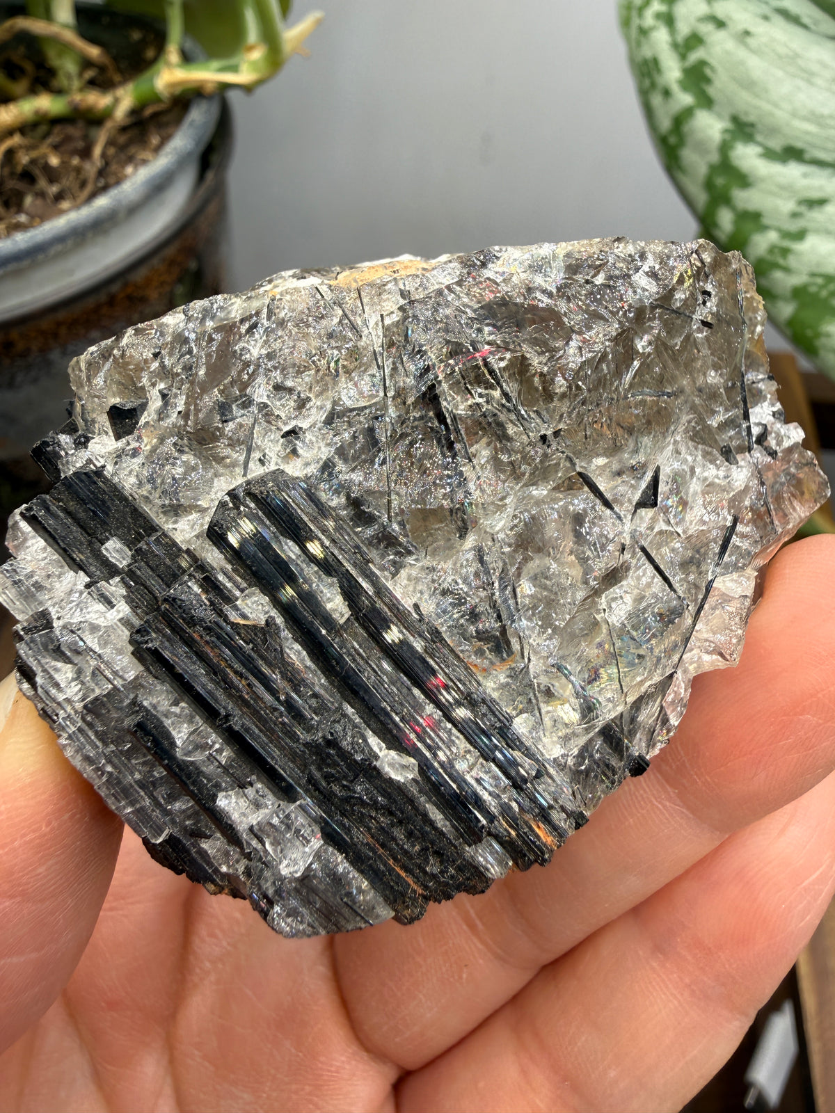 Schorl Tourmaline with Quartz– Minas Gerais, Brazil
