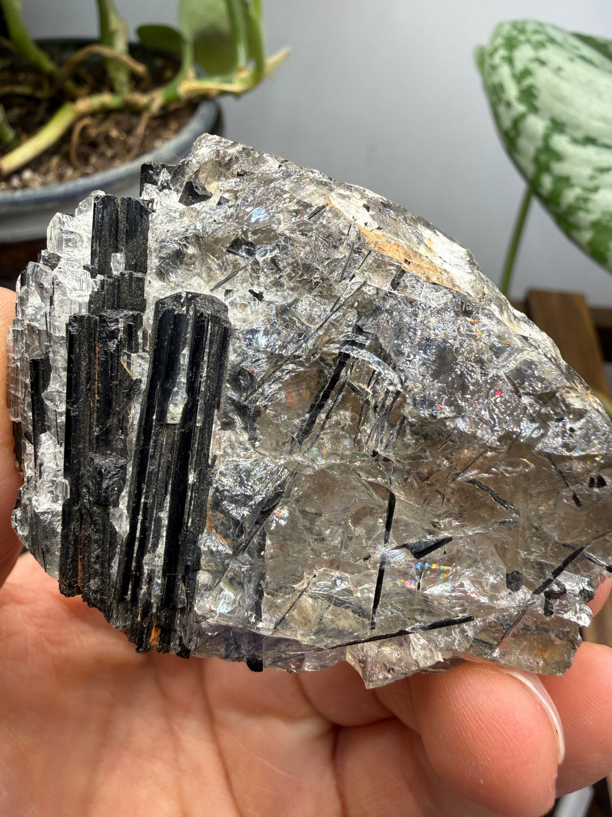 Schorl Tourmaline with Quartz– Minas Gerais, Brazil