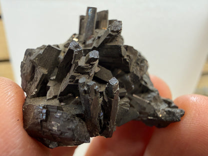 Enargite-  East Colusa Mine, Butte Mining District, Silver Bow County, Montana, USA