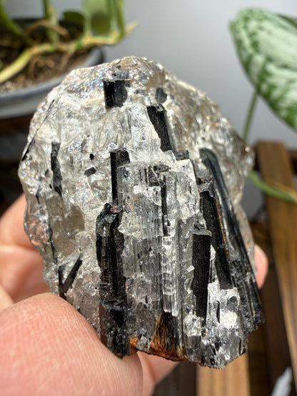 Schorl Tourmaline with Quartz– Minas Gerais, Brazil