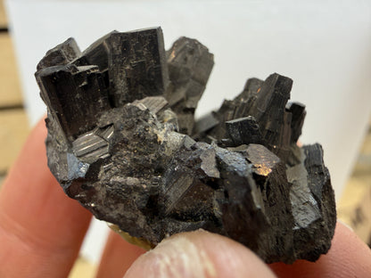 Enargite-  East Colusa Mine, Butte Mining District, Silver Bow County, Montana, USA