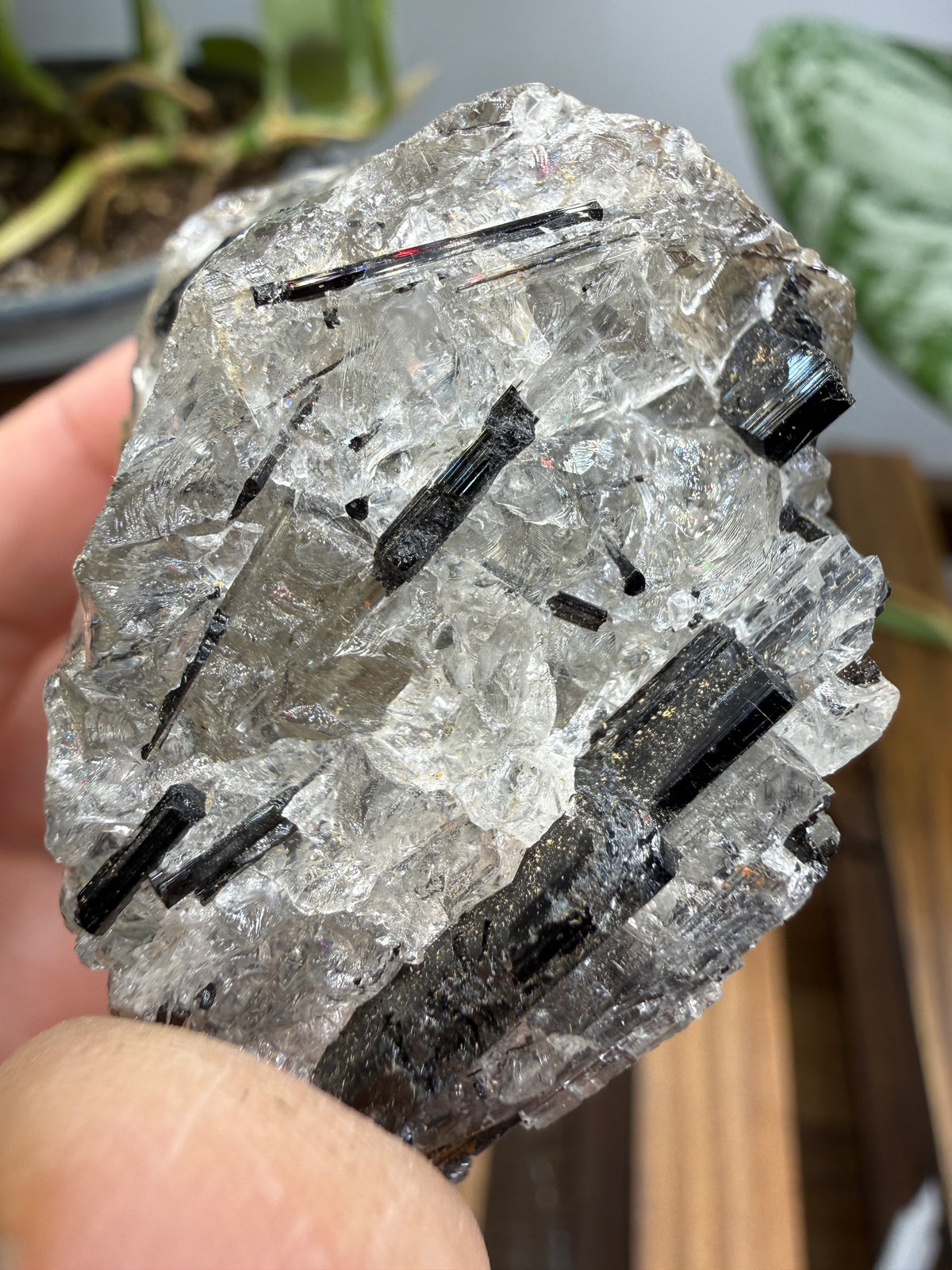 Schorl Tourmaline with Quartz– Minas Gerais, Brazil