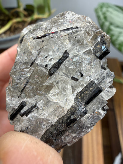 Schorl Tourmaline with Quartz– Minas Gerais, Brazil