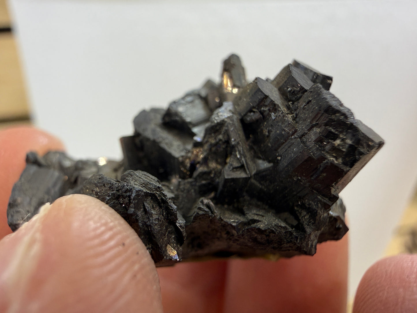 Enargite-  East Colusa Mine, Butte Mining District, Silver Bow County, Montana, USA