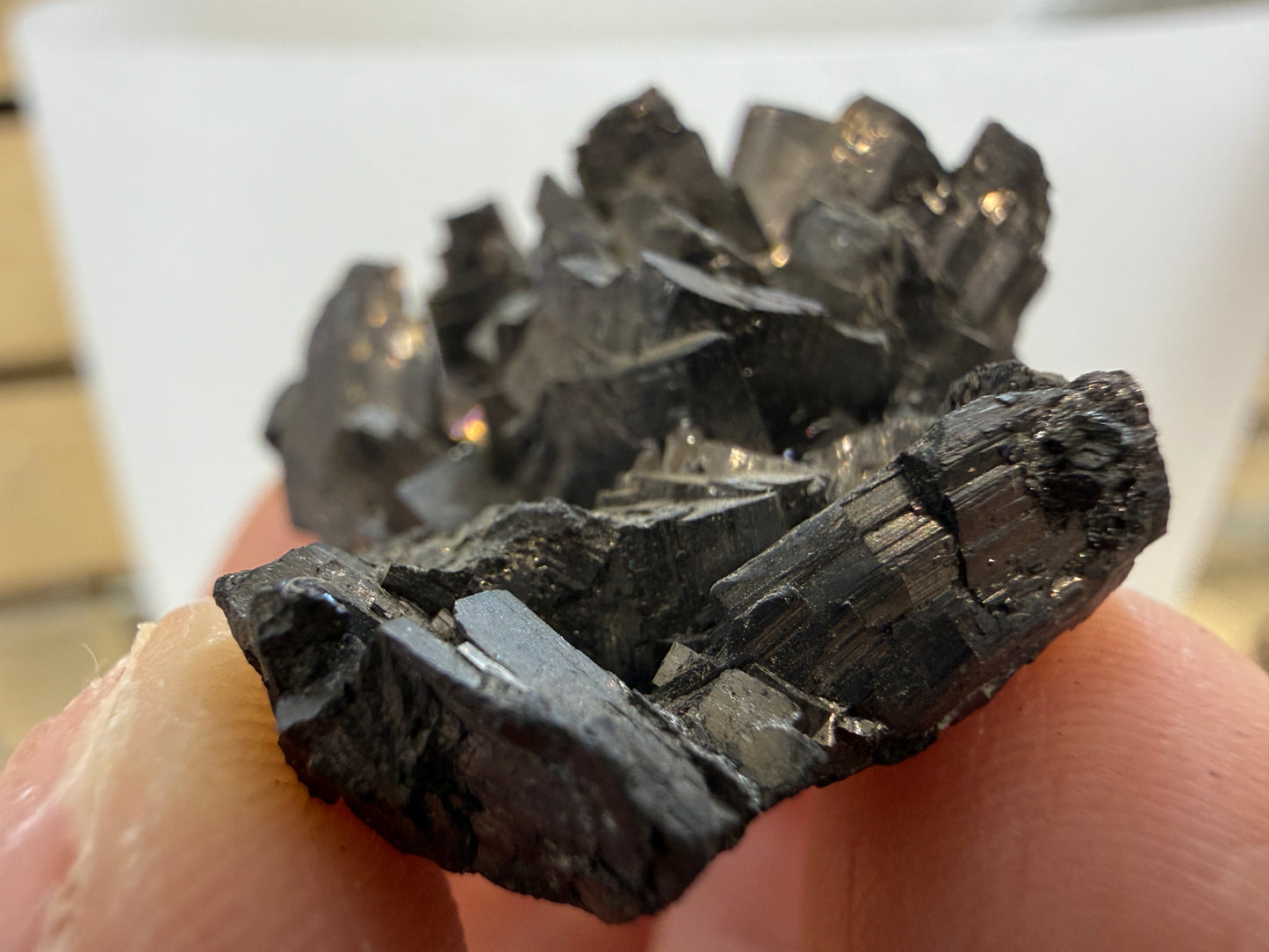 Enargite-  East Colusa Mine, Butte Mining District, Silver Bow County, Montana, USA