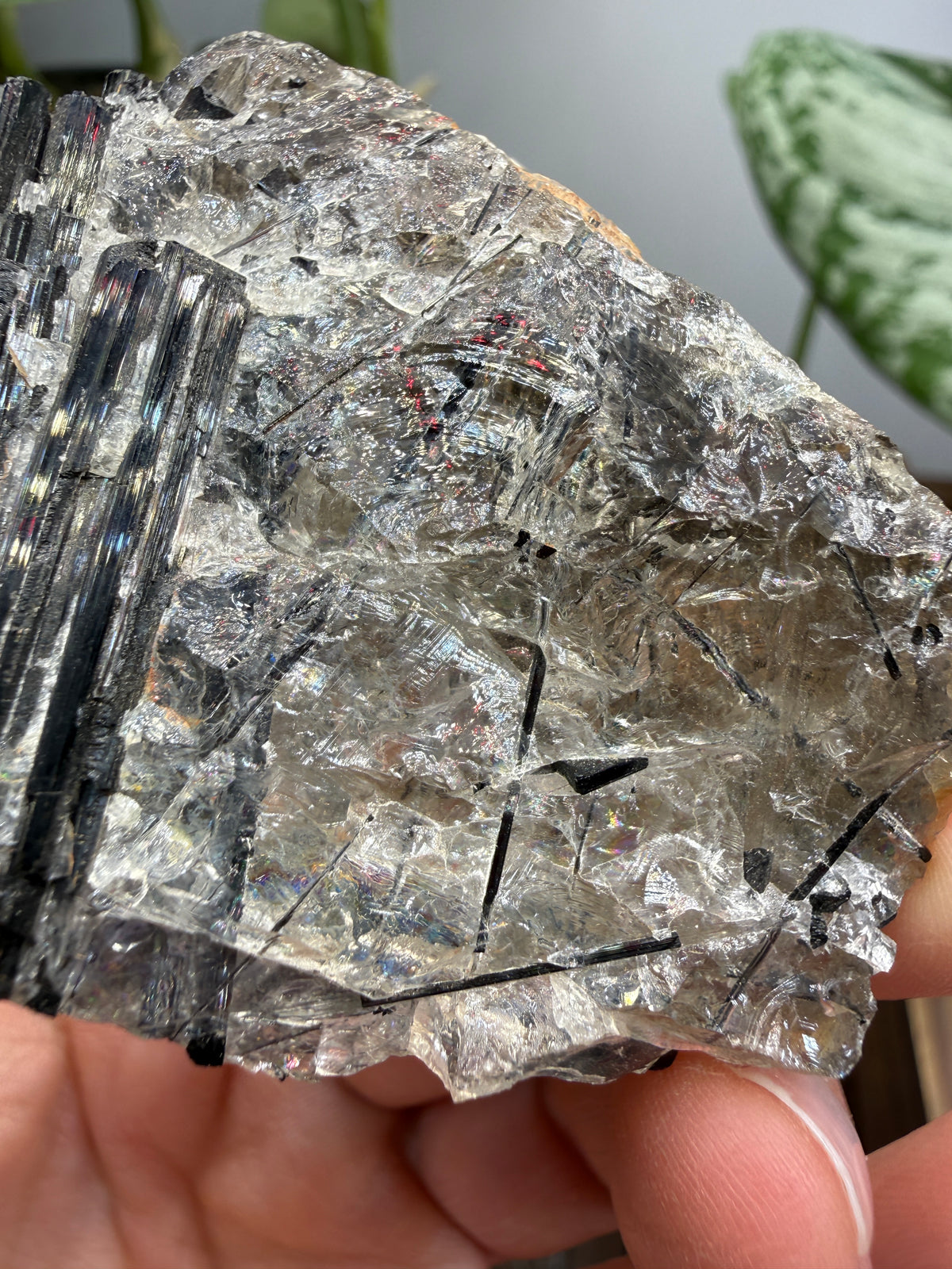 Schorl Tourmaline with Quartz– Minas Gerais, Brazil
