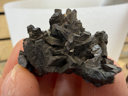 Enargite-  East Colusa Mine, Butte Mining District, Silver Bow County, Montana, USA