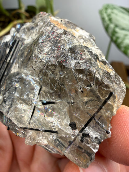 Schorl Tourmaline with Quartz– Minas Gerais, Brazil