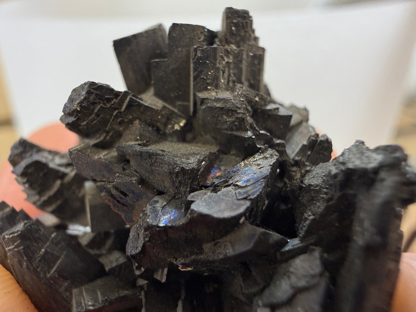 Enargite-  East Colusa Mine, Butte Mining District, Silver Bow County, Montana, USA