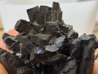 Enargite-  East Colusa Mine, Butte Mining District, Silver Bow County, Montana, USA