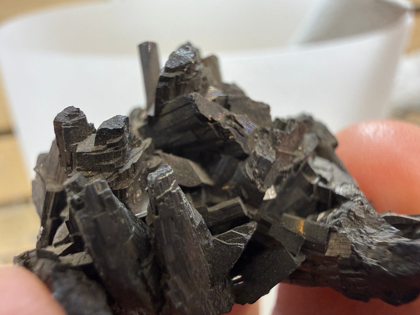 Enargite-  East Colusa Mine, Butte Mining District, Silver Bow County, Montana, USA