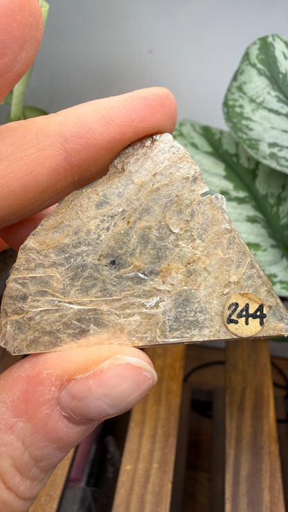 Mica– Near Rapid City, South Dakota — Two-Specimen Set