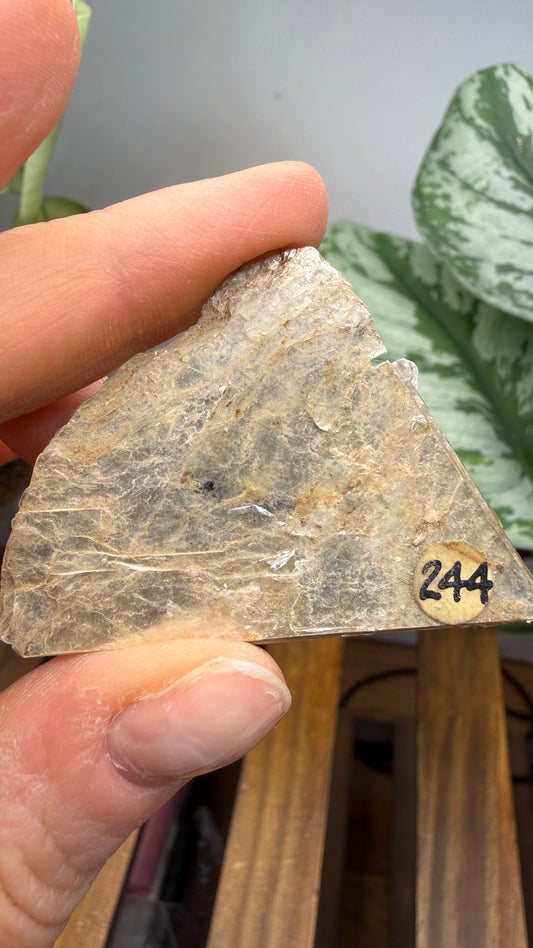 Mica– Near Rapid City, South Dakota — Two-Specimen Set