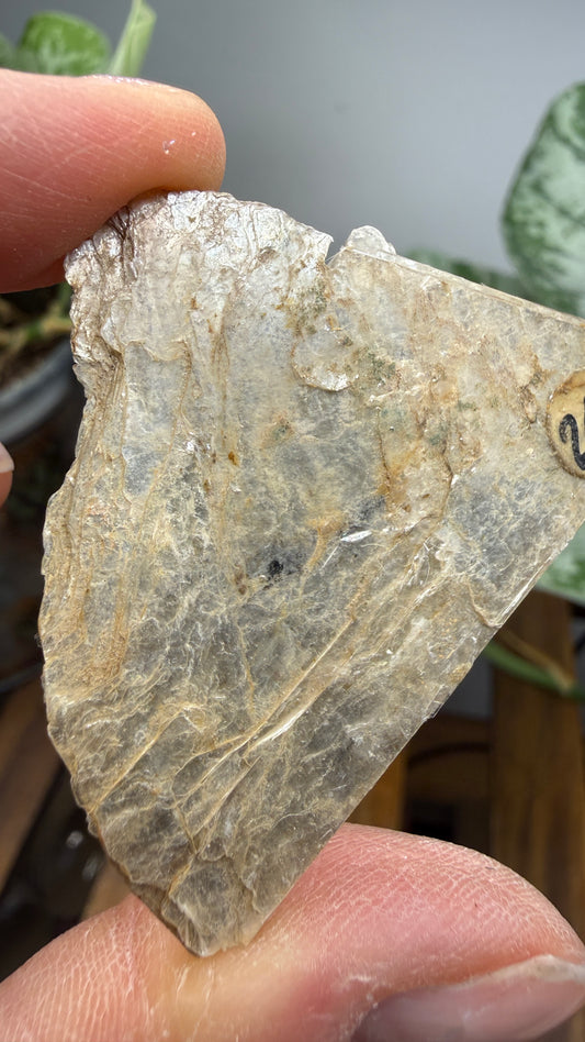 Mica– Near Rapid City, South Dakota — Two-Specimen Set