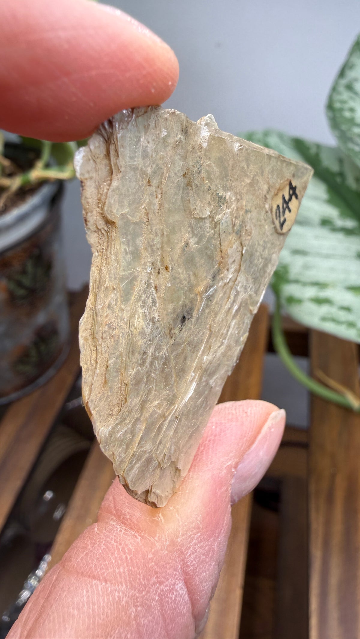 Mica– Near Rapid City, South Dakota — Two-Specimen Set