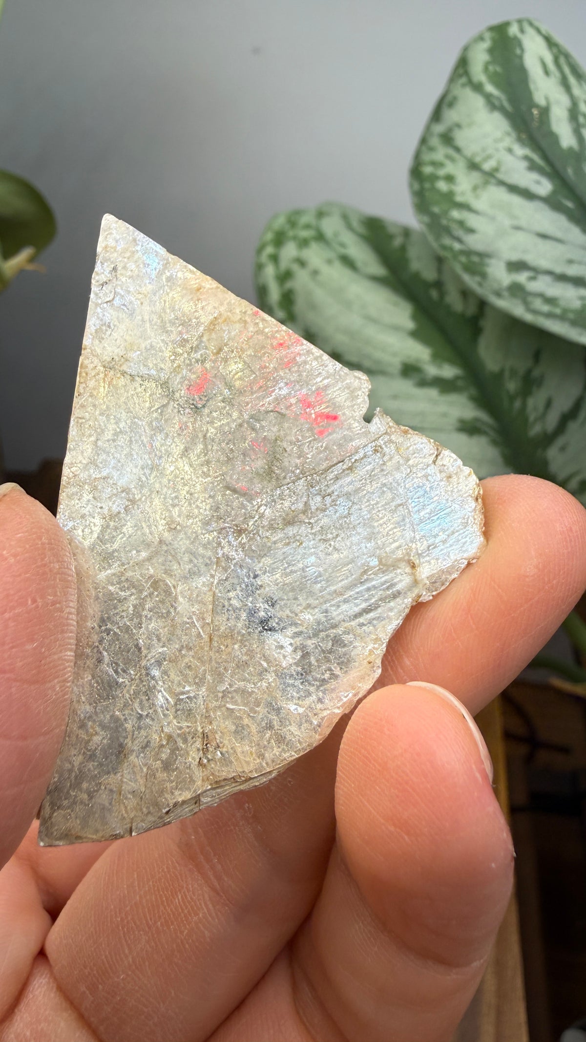 Mica– Near Rapid City, South Dakota — Two-Specimen Set