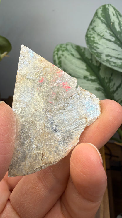 Mica– Near Rapid City, South Dakota — Two-Specimen Set