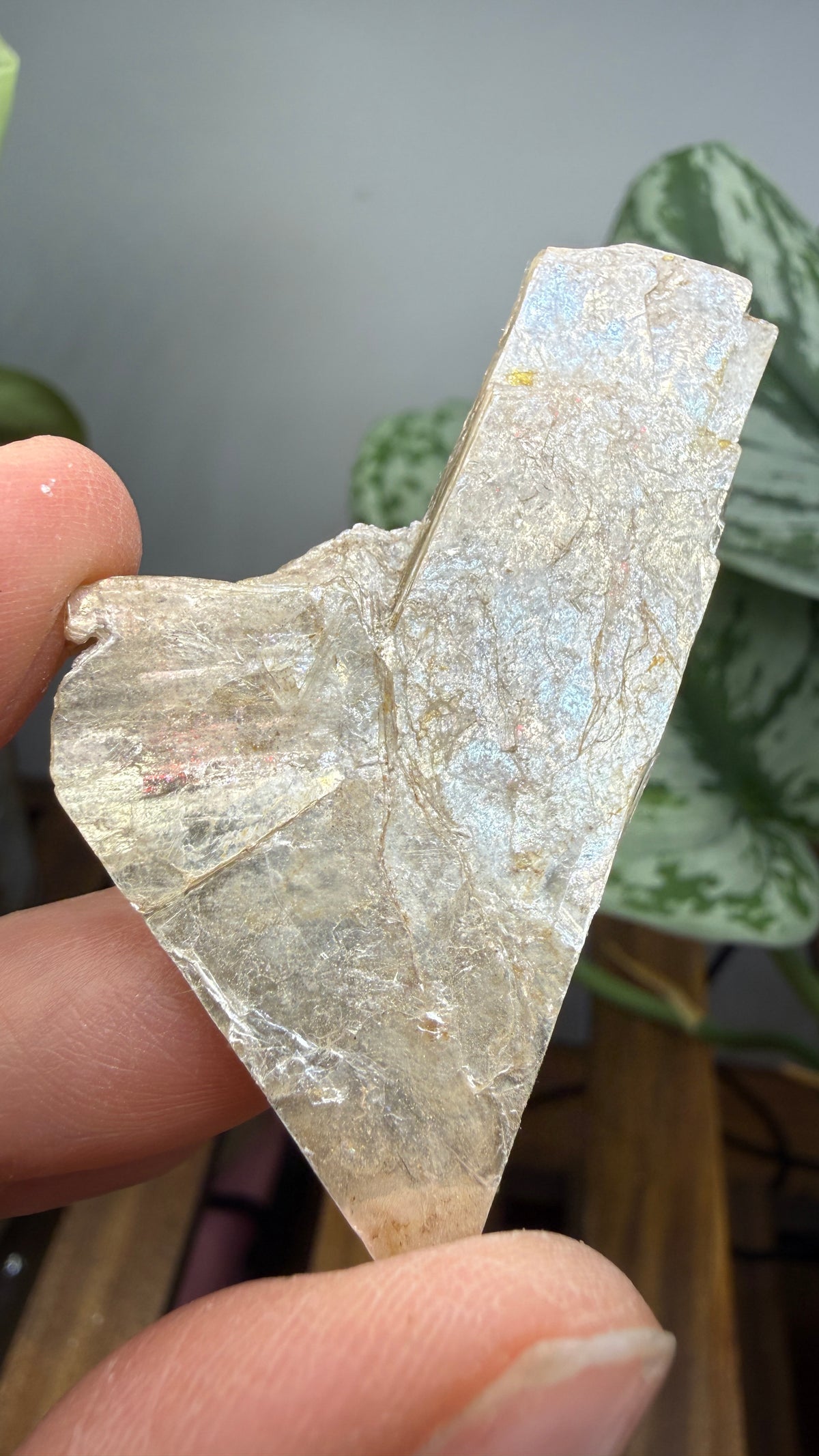 Mica– Near Rapid City, South Dakota — Two-Specimen Set