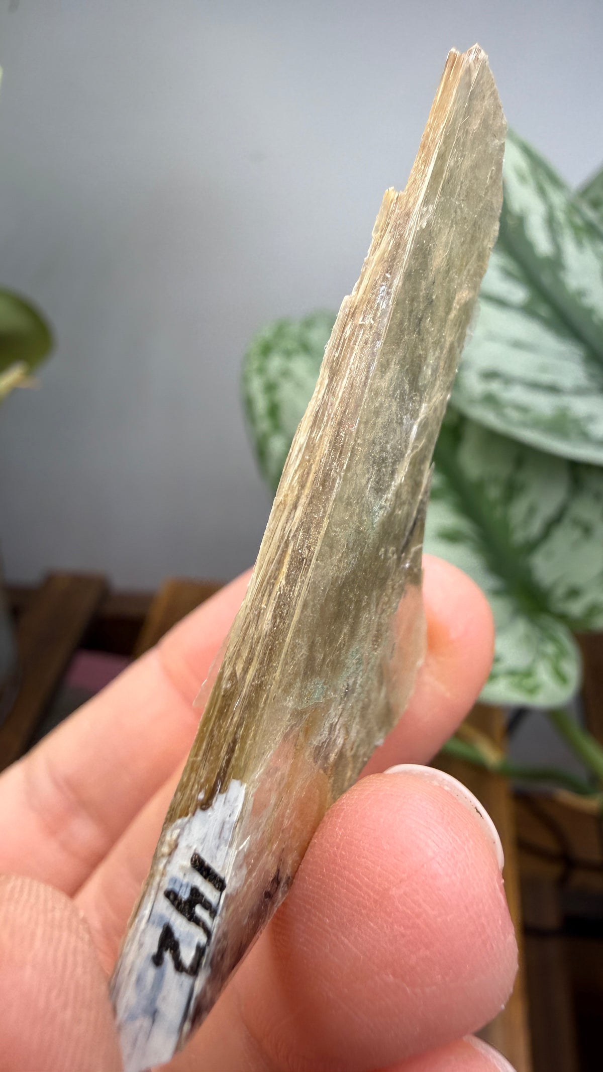 Mica– Near Rapid City, South Dakota — Two-Specimen Set