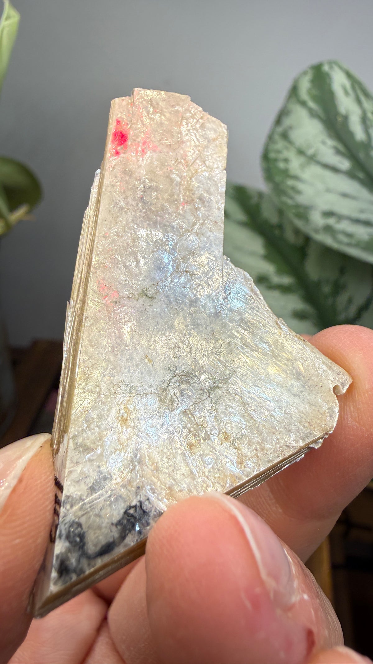 Mica– Near Rapid City, South Dakota — Two-Specimen Set