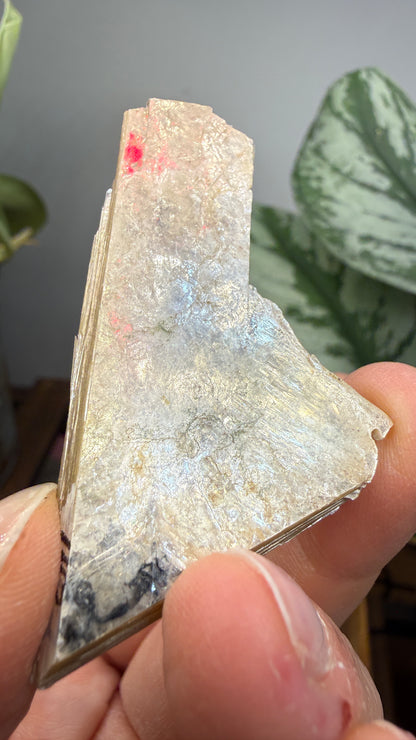 Mica– Near Rapid City, South Dakota — Two-Specimen Set