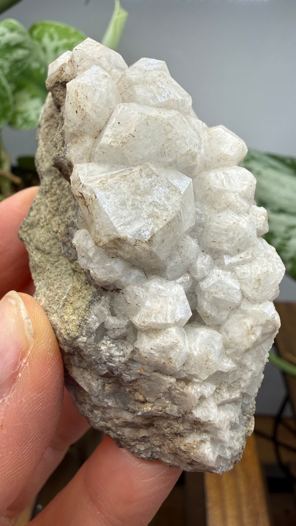 Analcime- Paterson, Passaic County, New Jersey, USA