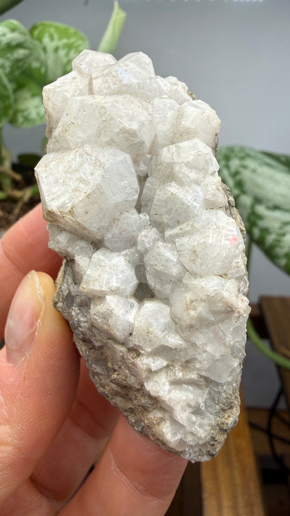 Analcime- Paterson, Passaic County, New Jersey, USA