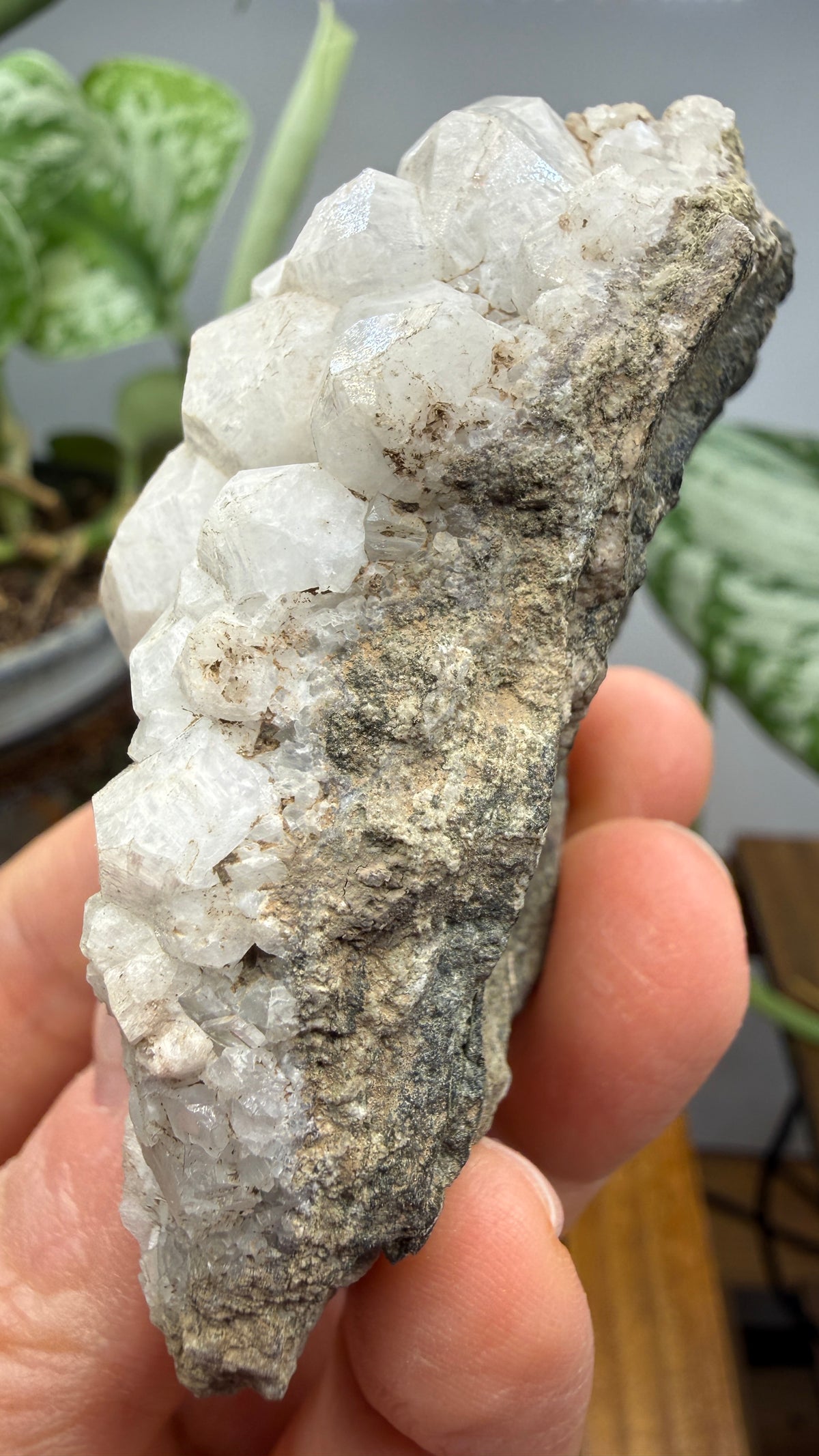 Analcime- Paterson, Passaic County, New Jersey, USA