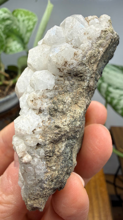 Analcime- Paterson, Passaic County, New Jersey, USA