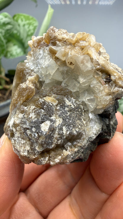 Stilbite- Paterson, Passaic County, New Jersey, USA