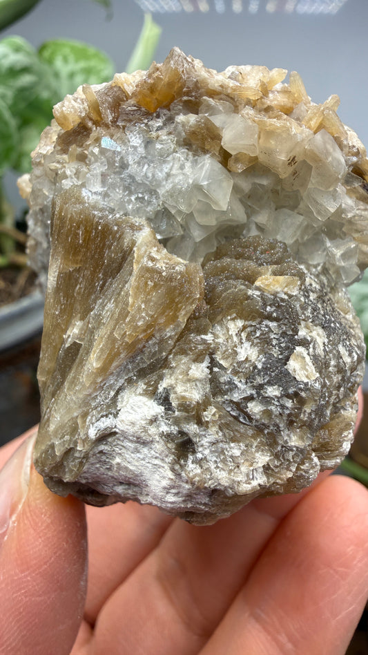 Stilbite- Paterson, Passaic County, New Jersey, USA