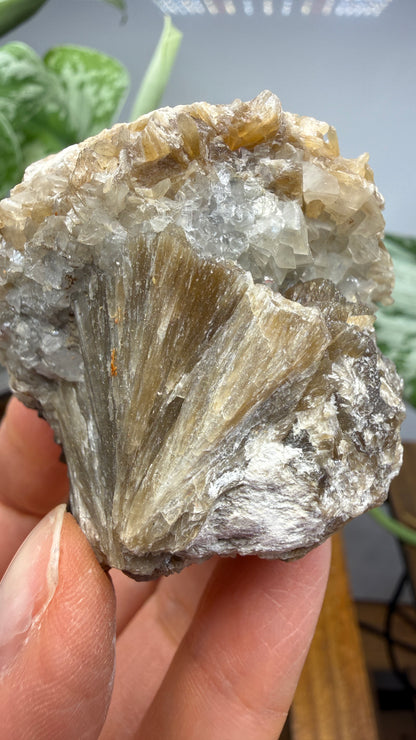 Stilbite- Paterson, Passaic County, New Jersey, USA