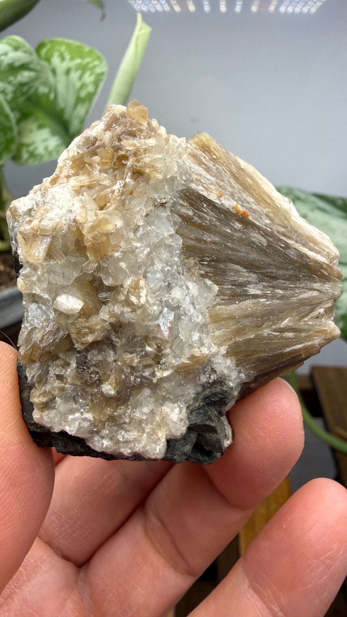 Stilbite- Paterson, Passaic County, New Jersey, USA
