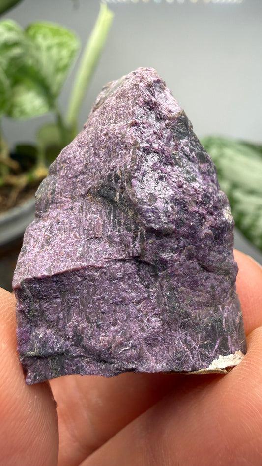 Stichtite on Serpentine- Barberton District, Mpumalanga, South Africa